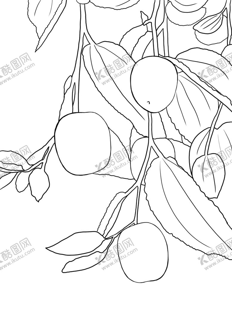 编号：48002609191803444330【酷图网】源文件下载-红枣