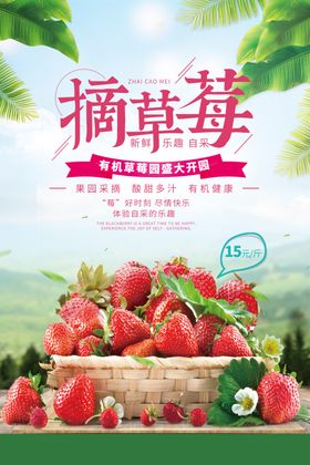摘草莓海报