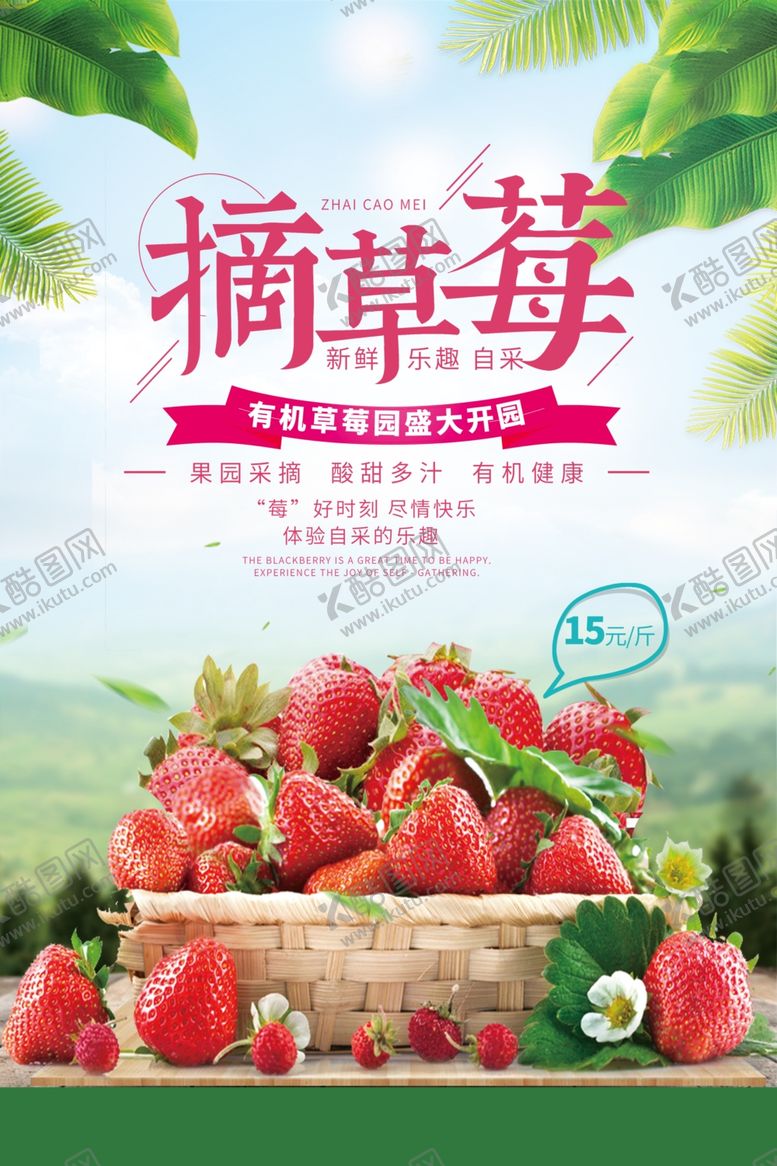 编号：10228204201347512991【酷图网】源文件下载-摘草莓海报