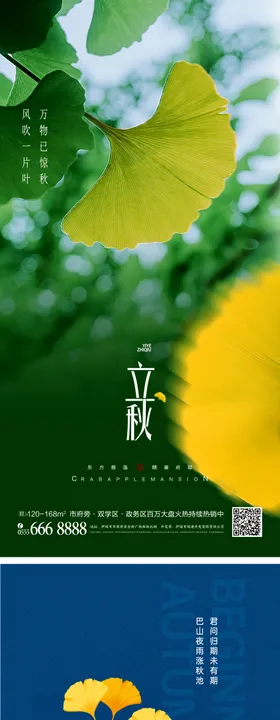 立秋节气系列海报