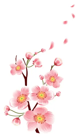梅花桃花PNG