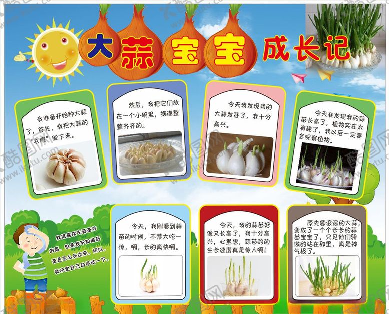 编号：88988905091603324411【酷图网】源文件下载-大蒜宝宝成长记