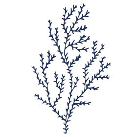 手绘海洋生物
