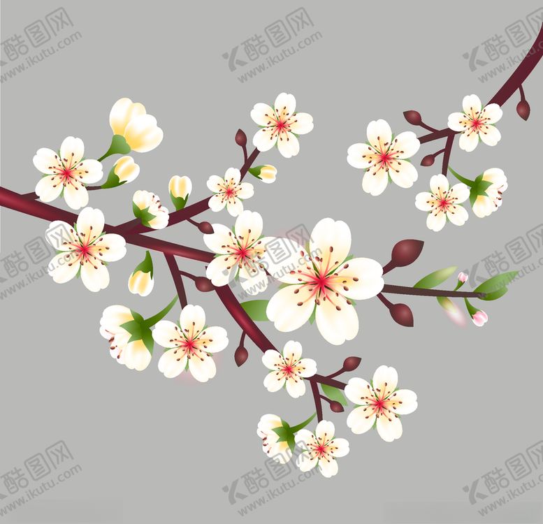 编号：77211210252243051480【酷图网】源文件下载-樱花