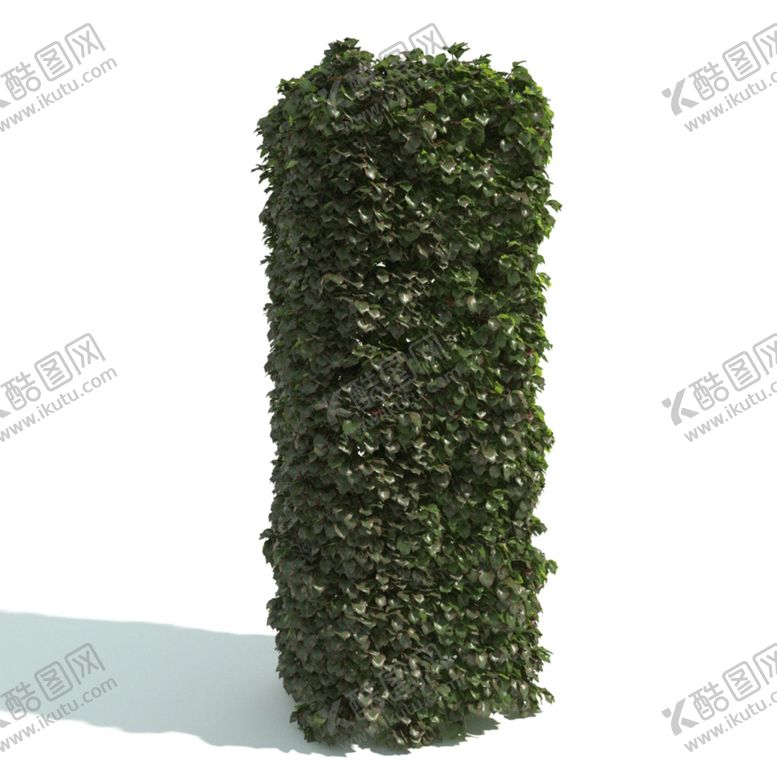 编号：58656010181453312998【酷图网】源文件下载-植物篱笆