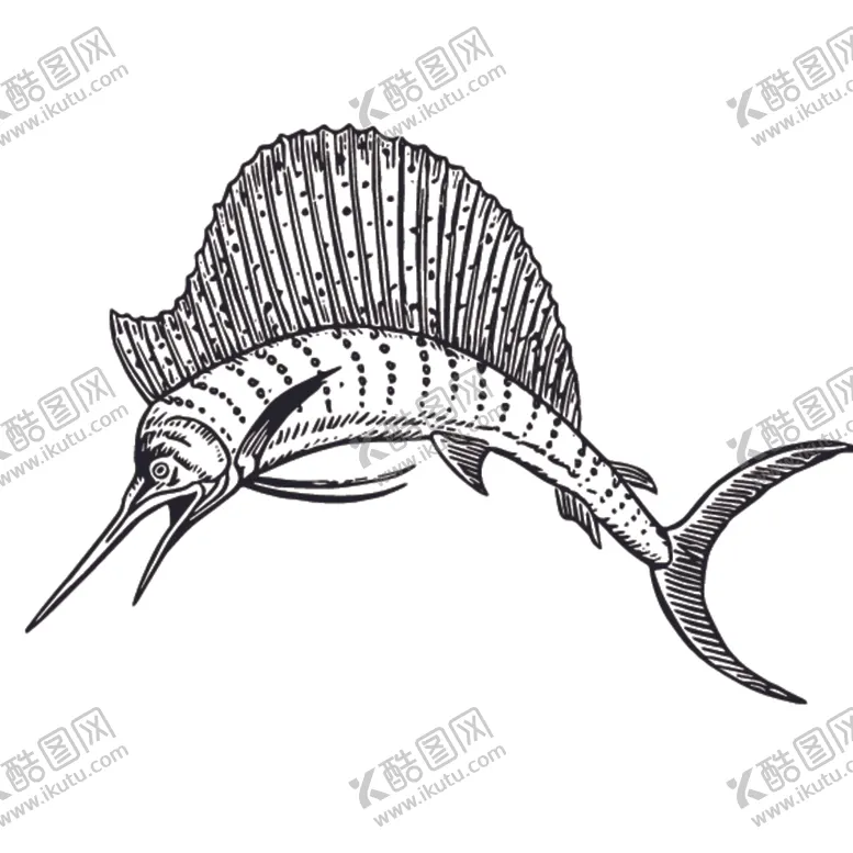 编号：57627809131628577329【酷图网】源文件下载-海洋生物鱼类图案