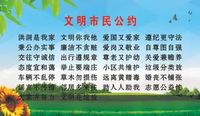 文明市民公约