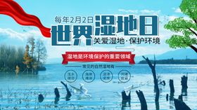 湿地岛效果图