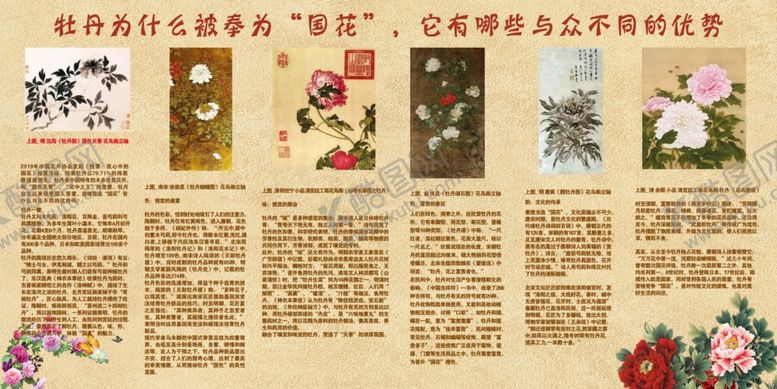 编号：76696105082002252147【酷图网】源文件下载-牡丹