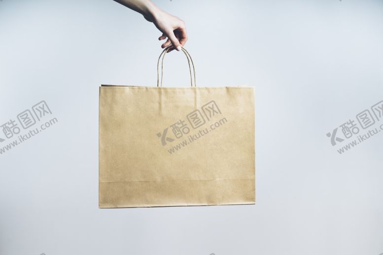 编号：46503110081010005737【酷图网】源文件下载-高档手提袋样机