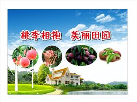 新农村建设
