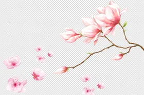 桃花花瓣