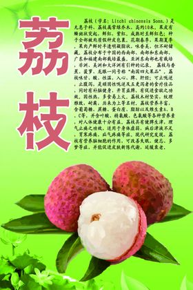 水果灯箱之荔枝