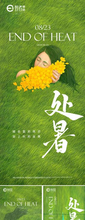 处暑二十四节气海报