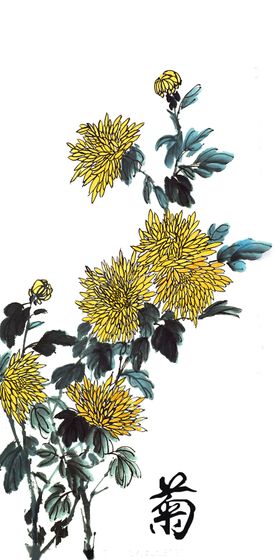 菊花素材