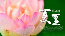夏至海报