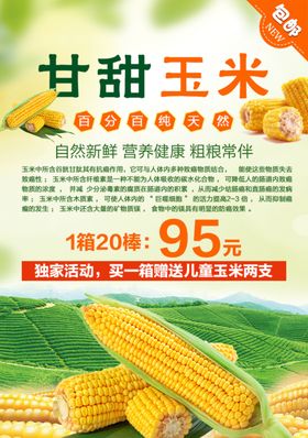 农家甘甜香糯玉米
