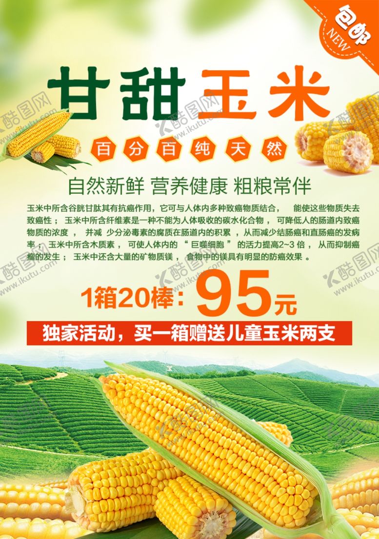 编号：18768607041642297326【酷图网】源文件下载-农家甘甜香糯玉米