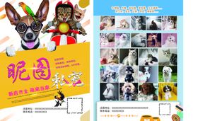 宠物单页A4