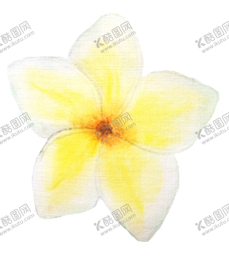 编号：46592710170345537583【酷图网】源文件下载-彩绘植物