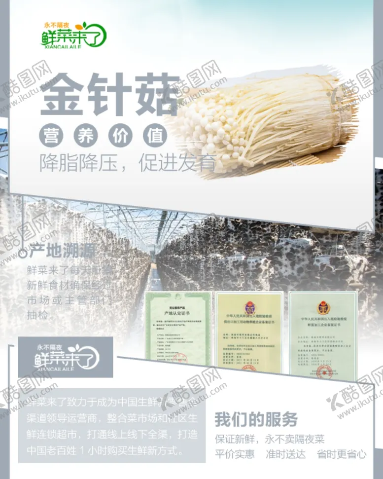 编号：15752006162057448072【酷图网】源文件下载-金针菇详情页