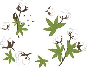 棉花素材