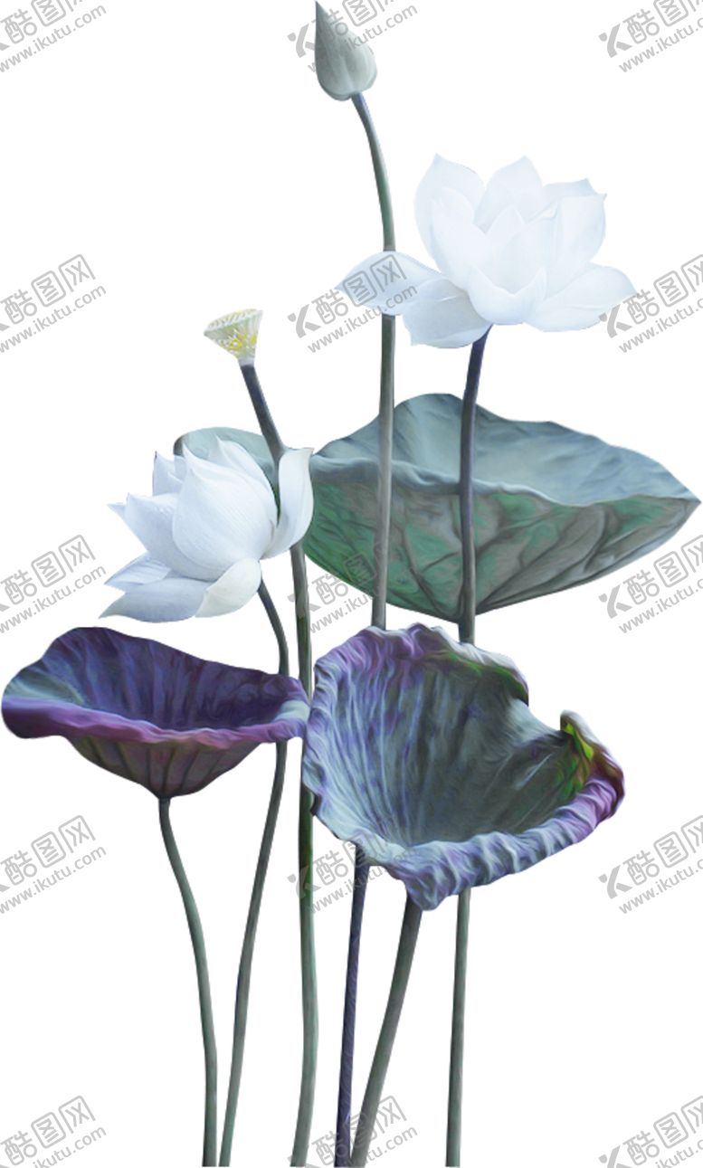 编号：70831609232138061189【酷图网】源文件下载-荷花元素