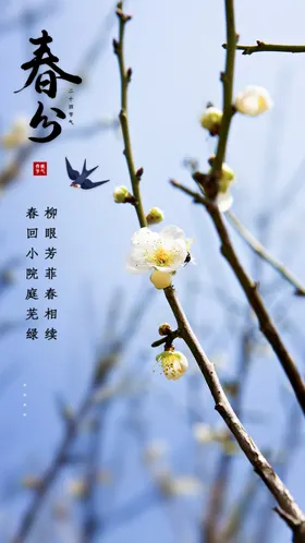 春分单张促销青山绿水山河