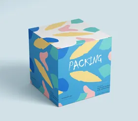 纸盒样机展示mockups产品包装贴图
