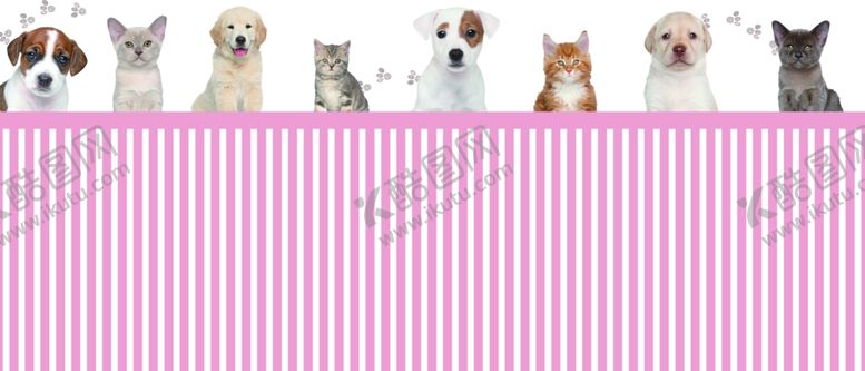 编号：83001506180428154753【酷图网】源文件下载-宠物店