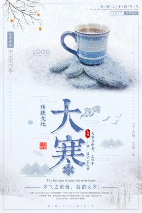 24节气创意海报大寒海报