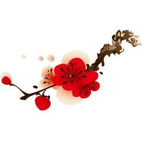 中国风水墨梅