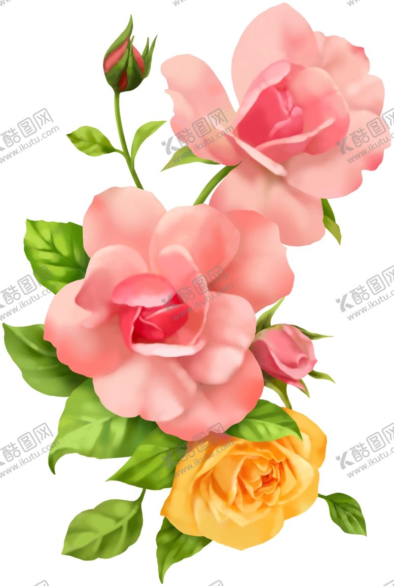 编号：96581401131738402444【酷图网】源文件下载-玫瑰花
