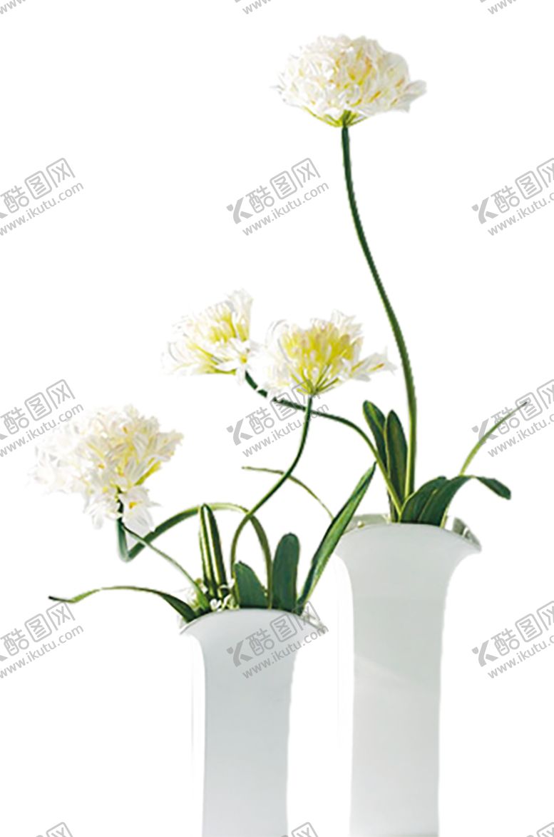 编号：42365406242309512163【酷图网】源文件下载-绿色相框