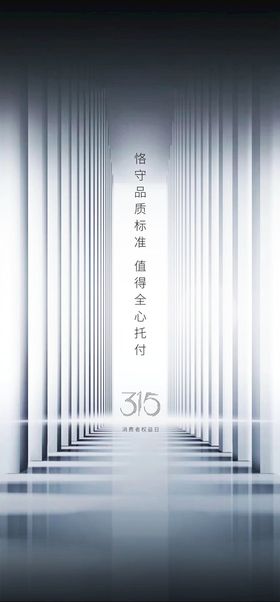 315消费者海报