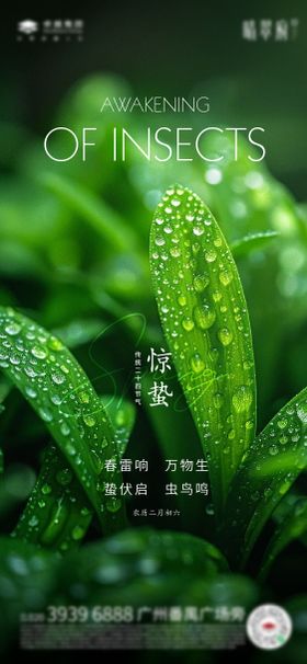 绿色简约惊蛰节气海报