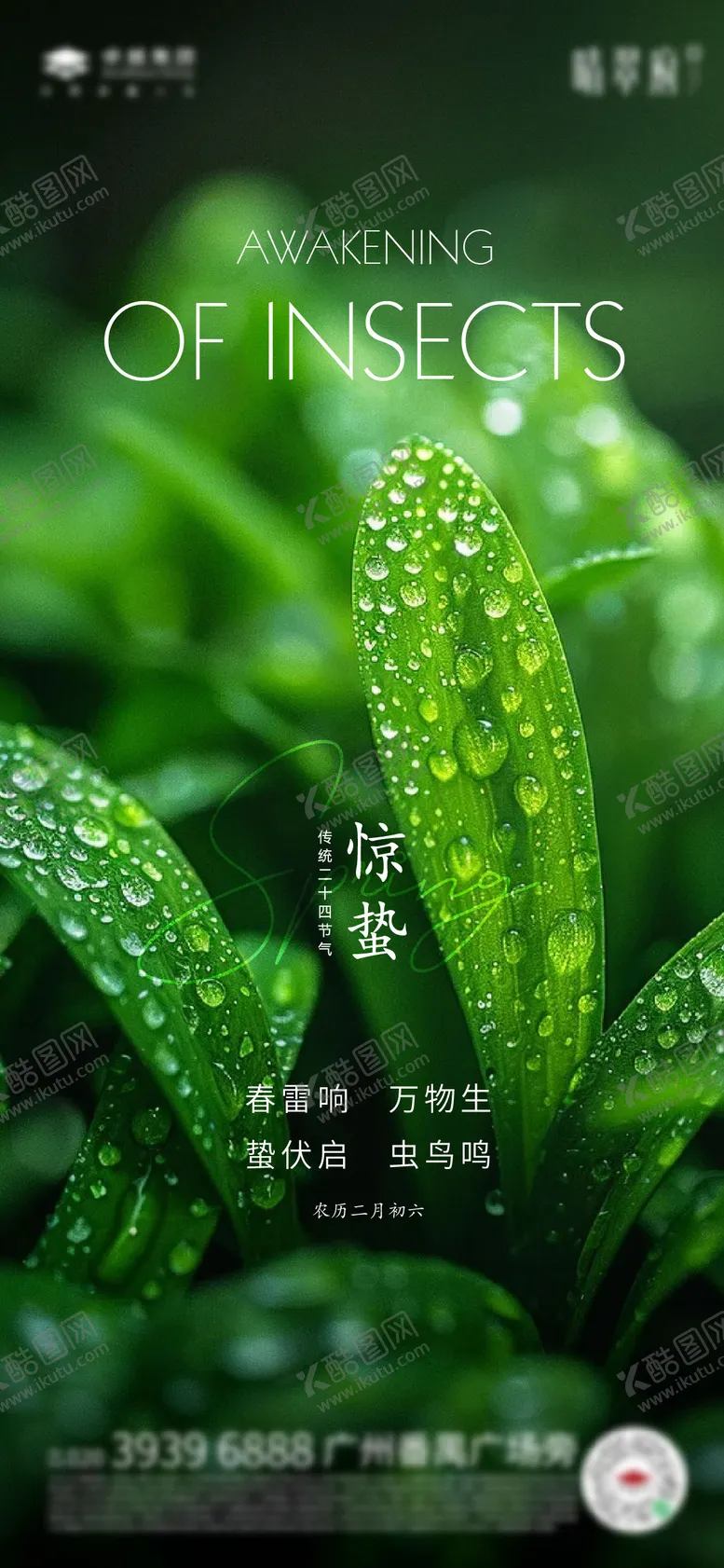 编号：45261303020256559888【酷图网】源文件下载-节气海报惊蛰绿色