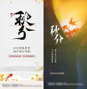 秋分落叶天树叶立