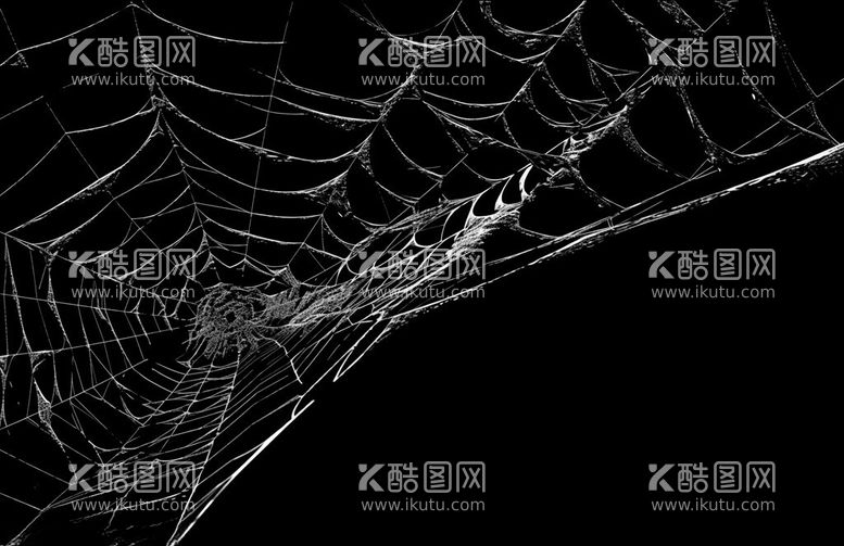 编号：84729911250537437971【酷图网】源文件下载-蜘蛛网