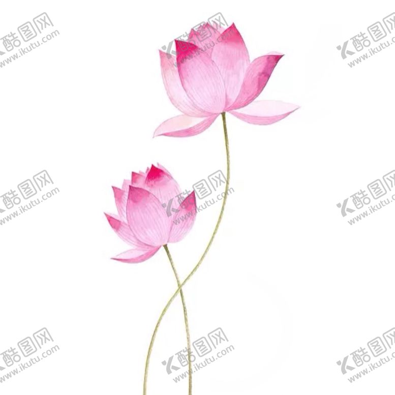 编号：63751905050422337209【酷图网】源文件下载-荷花元素