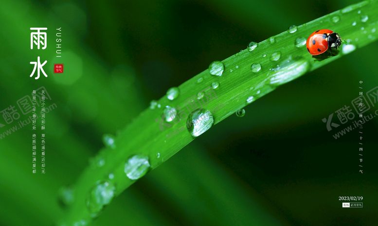 编号：21186011102341532267【酷图网】源文件下载-雨水节气