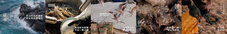 编号：49234106031627007649【酷图网】源文件下载-青岛菜五图
