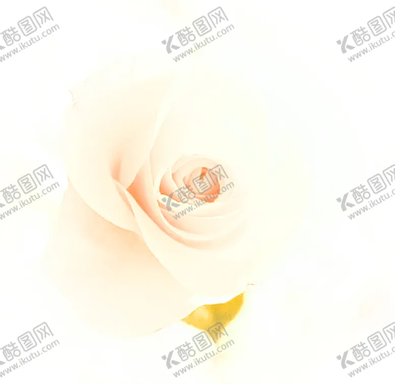 编号：30145706160242119506【酷图网】源文件下载-花素材