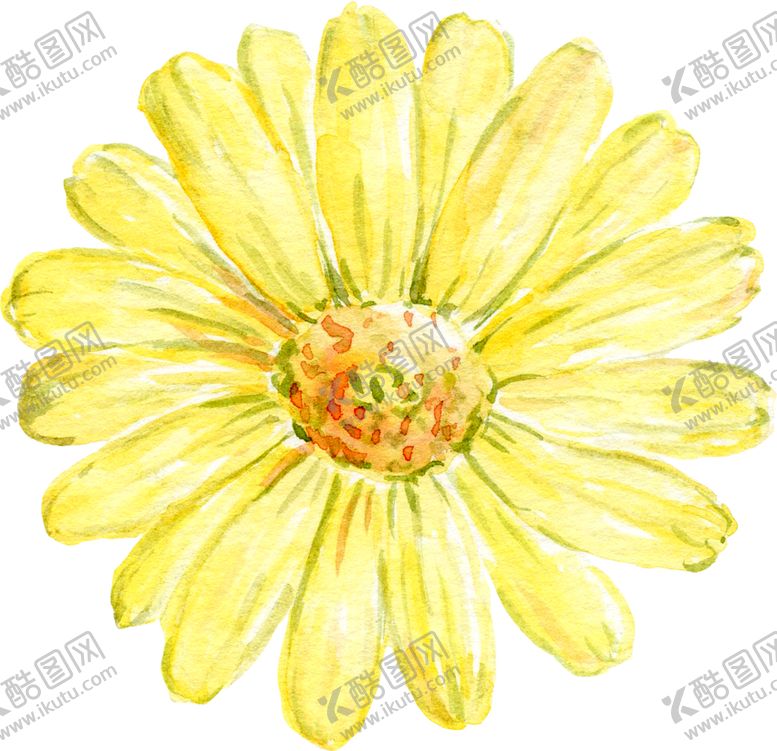 编号：56173704180629206390【酷图网】源文件下载-水彩植物花朵装饰