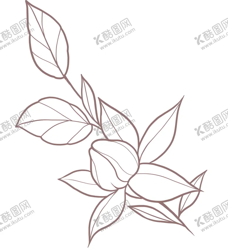 编号：43768011192343185352【酷图网】源文件下载-线描简约叶子