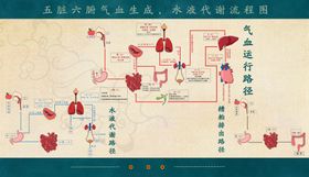 气血生成代谢流程图