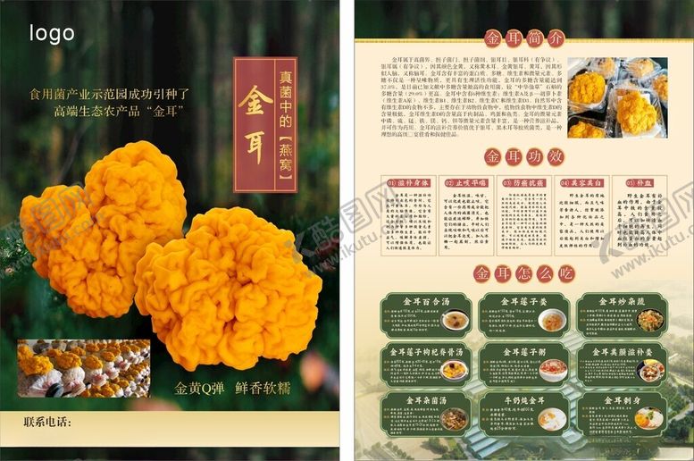 编号：70184310120641261376【酷图网】源文件下载-金耳宣传页