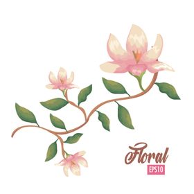 手绘鲜花