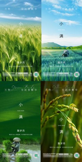 小满节气海报二十四风景麦穗绿色