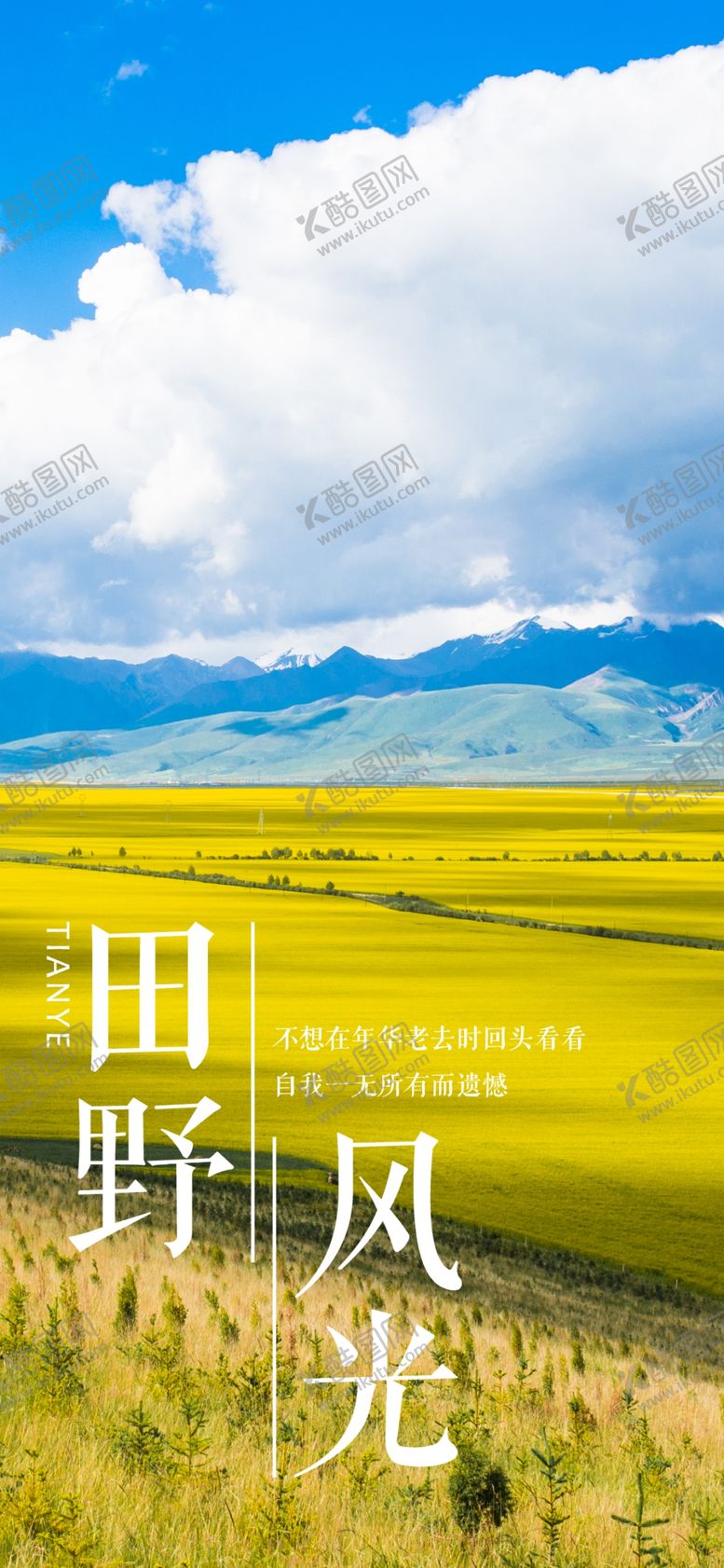 编号：85221607040157348884【酷图网】源文件下载-油菜花